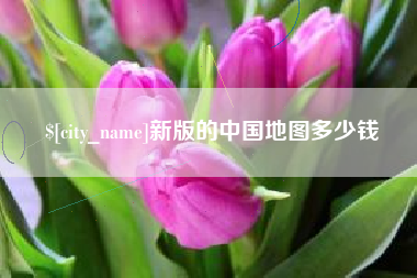 黔东新版的中国地图多少钱