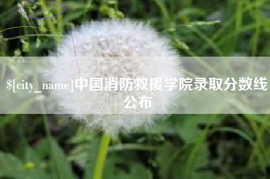 黔东中国消防救援学院录取分数线公布
