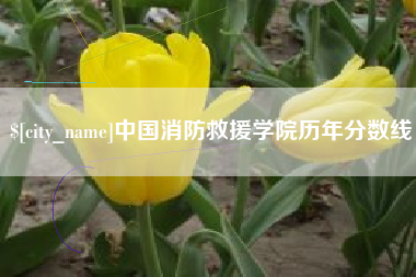 黔东中国消防救援学院历年分数线