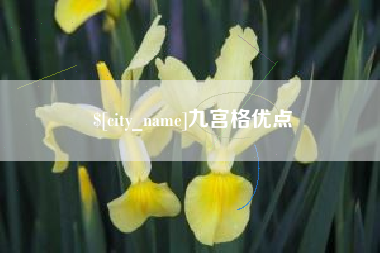 黔东九宫格优点