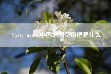 黔东中国地图空白框是什么