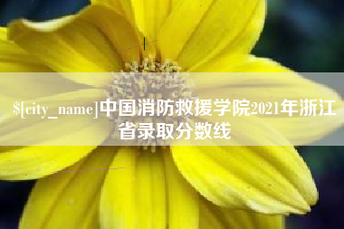 黔东中国消防救援学院2021年浙江省录取分数线