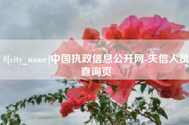 黔东中国执政信息公开网-失信人员查询页
