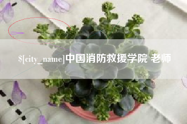 黔东中国消防救援学院 老师