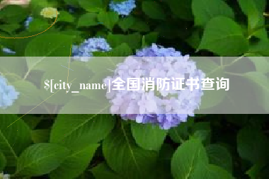 黔东全国消防证书查询