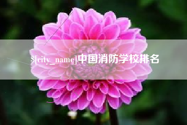 黔东中国消防学校排名