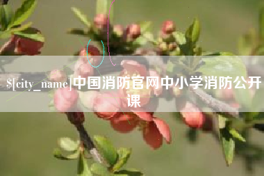 黔东中国消防官网中小学消防公开课