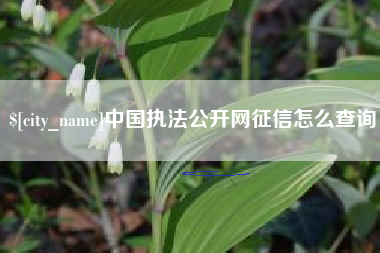 黔东中国执法公开网征信怎么查询