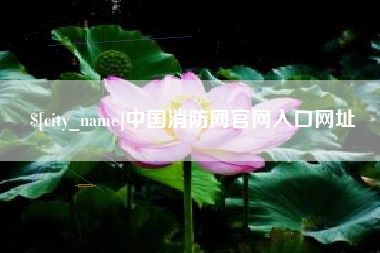 黔东中国消防网官网入口网址