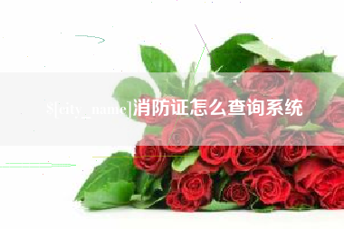 黔东消防证怎么查询系统