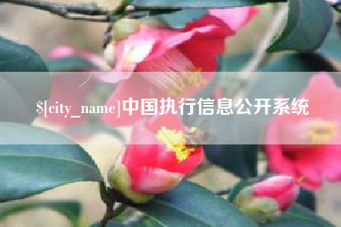 黔东中国执行信息公开系统