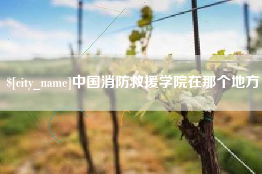 黔东中国消防救援学院在那个地方