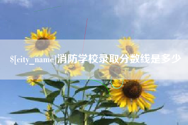 黔东消防学校录取分数线是多少