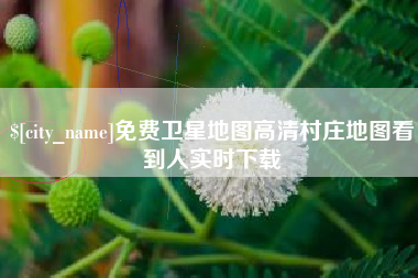 黔东免费卫星地图高清村庄地图看到人实时下载