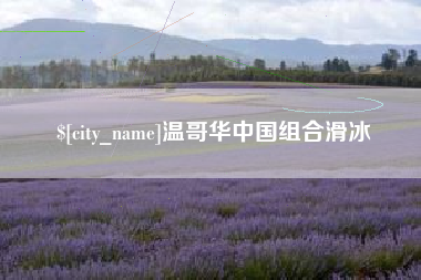 黔东温哥华中国组合滑冰