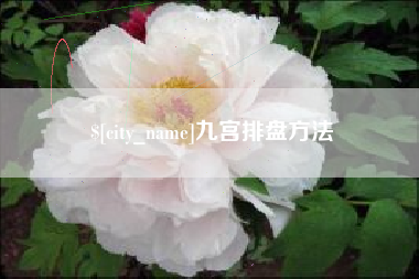 黔东九宫排盘方法