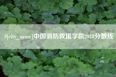 黔东中国消防救援学院2018分数线