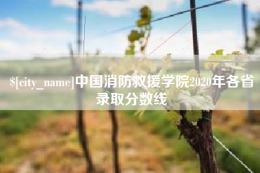 黔东中国消防救援学院2020年各省录取分数线