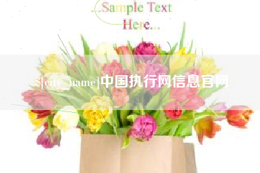 黔东中国执行网信息官网
