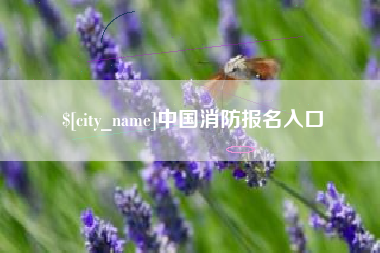 黔东中国消防报名入口