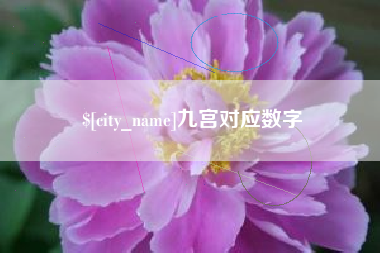 黔东九宫对应数字