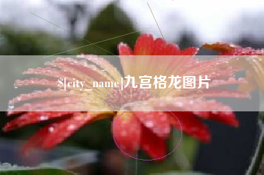 黔东九宫格龙图片