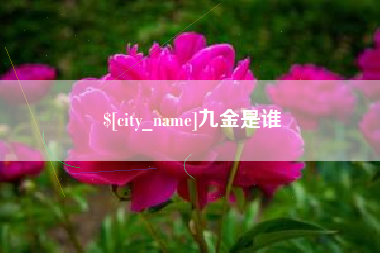 黔东九金是谁