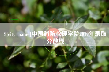 黔东中国消防救援学院2019年录取分数线