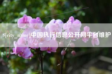 黔东中国执行信息公开网平台维护