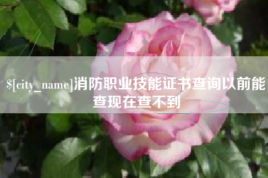 黔东消防职业技能证书查询以前能查现在查不到