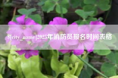 黔东2025年消防员报名时间表格