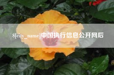 黔东中国执行信息公开网后