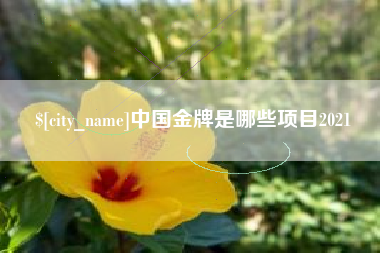 黔东中国金牌是哪些项目2021