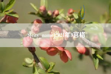 黔东2021年9宫格