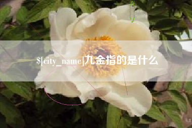 黔东九金指的是什么