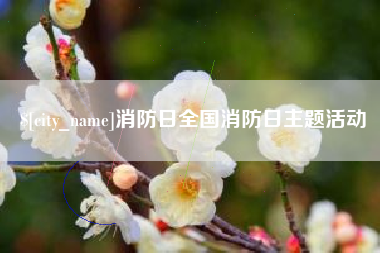 黔东消防日全国消防日主题活动