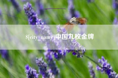黔东中国九枚金牌