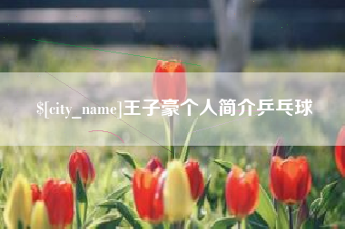 黔东王子豪个人简介乒乓球