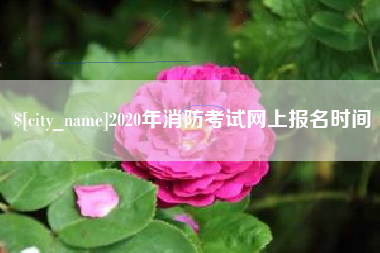 黔东2020年消防考试网上报名时间