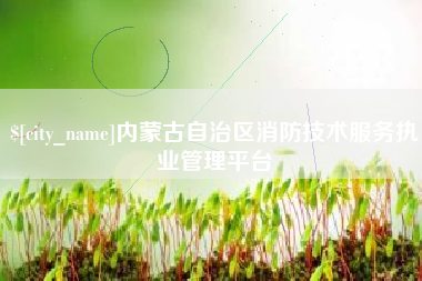 黔东内蒙古自治区消防技术服务执业管理平台