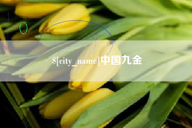 黔东中国九金