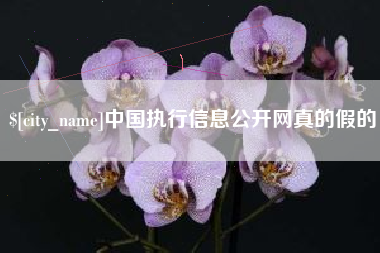 黔东中国执行信息公开网真的假的