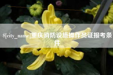 黔东重庆消防设施操作员证报考条件