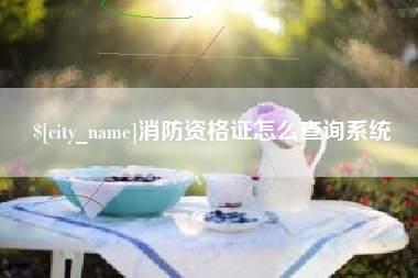 黔东消防资格证怎么查询系统