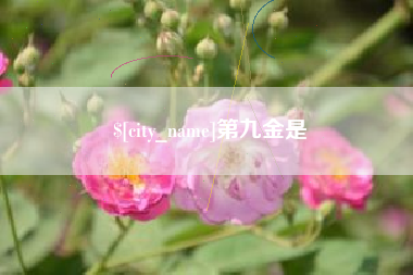 黔东第九金是