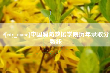 黔东中国消防救援学院历年录取分数线