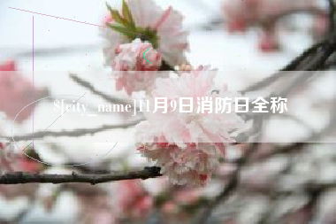 黔东11月9日消防日全称