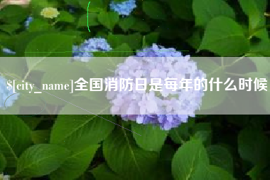 黔东全国消防日是每年的什么时候