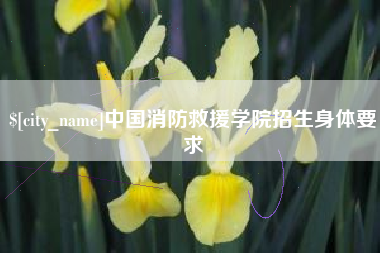 黔东中国消防救援学院招生身体要求