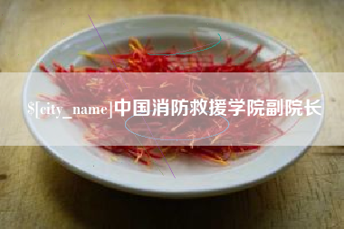 黔东中国消防救援学院副院长